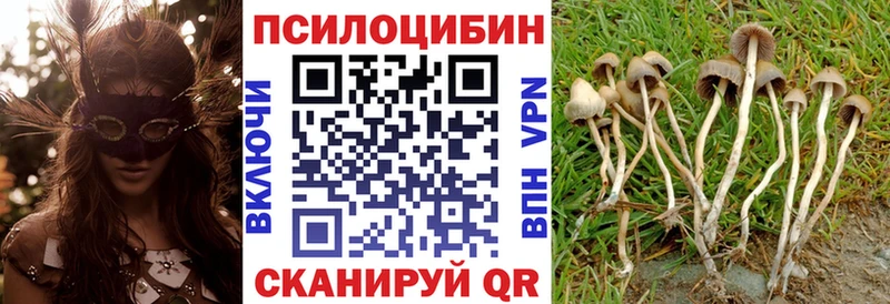нарко площадка Telegram  Поронайск  OMG как зайти  Галлюциногенные грибы GOLDEN TEACHER  как найти  